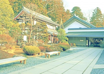 神社,村,秋,屋外,曇り,昭和レトロ