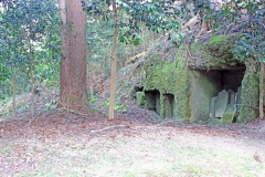 神社,村,屋外,秋,曇り