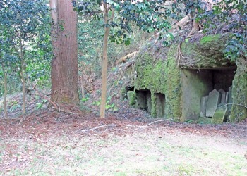 神社,村,屋外,秋,曇り