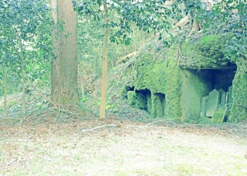 神社,村,屋外,秋,曇り,昭和レトロ