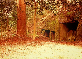 神社,村,屋外,秋,曇り,ヴィンテージ