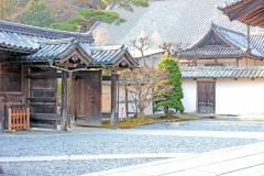 神社,町,屋外,秋,晴れ