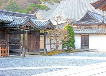 神社,町,屋外,秋,晴れ