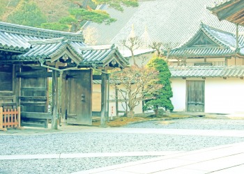 神社,町,屋外,秋,昭和レトロ