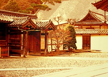 神社,町,屋外,秋,ヴィンテージ