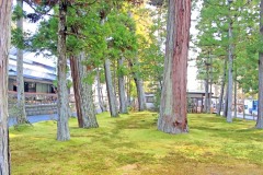 神社,町,屋外,秋,晴れ