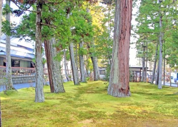神社,町,屋外,秋,晴れ