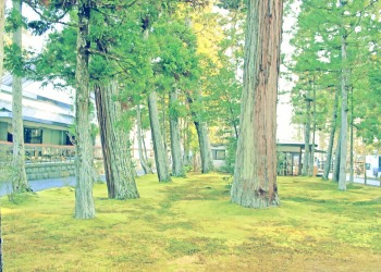 神社,町,屋外,秋,昭和レトロ