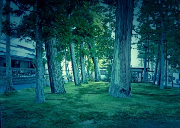 神社,町,屋外,秋,ホラー
