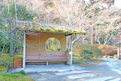 日本庭園,和,屋外,秋,晴れ