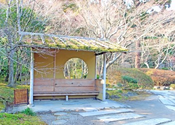 日本庭園,和,屋外,秋,晴れ