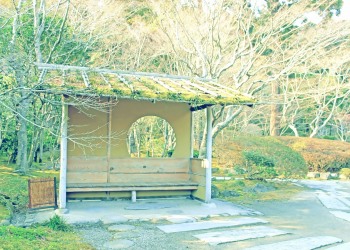 日本庭園,和,屋外,秋,晴れ,昭和レトロ