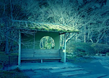 日本庭園,和,屋外,秋,晴れ,ホラー