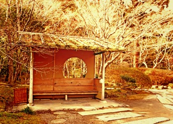 日本庭園,和,屋外,秋,晴れ,ヴィンテージ