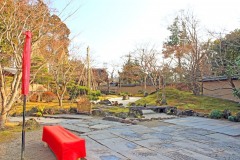 日本庭園,和,屋外,秋,晴れ