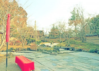 日本庭園,和,屋外,秋,晴れ,昭和レトロ