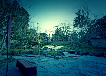 日本庭園,和,屋外,秋,晴れ,ホラー