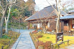 日本庭園,和,屋外,秋,晴れ