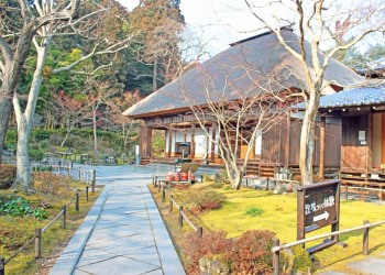 日本庭園,和,屋外,秋,晴れ