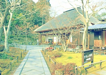 日本庭園,和,屋外,秋,晴れ,昭和レトロ