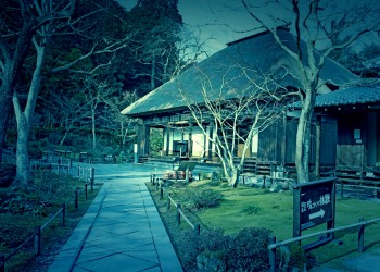日本庭園,和,屋外,秋,晴れ,ホラー