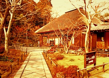 日本庭園,和,屋外,秋,晴れ,ヴィンテージ