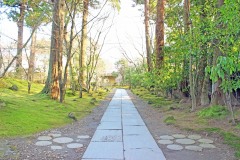 神社,和,屋外,冬,晴れ