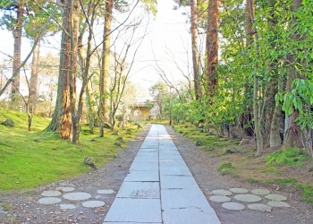 神社,和,屋外,冬,晴れ