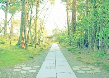 神社,和,屋外,冬,晴れ,昭和レトロ