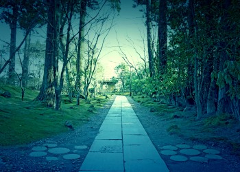 神社,和,屋外,冬,晴れ,ホラー