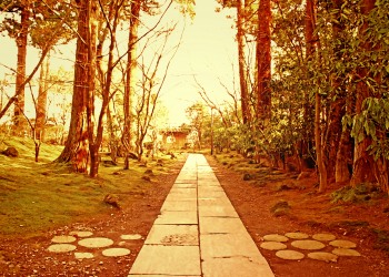 神社,和,屋外,冬,晴れ,ヴィンテージ