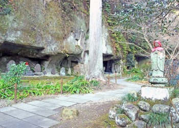 神社,和,屋外,冬,晴れ