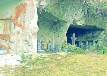 寺,日本庭園,和,冬,屋外,昭和レトロ