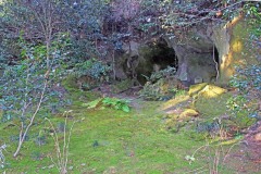 寺,日本庭園,和,冬,屋外