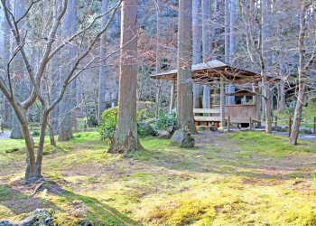 寺,日本庭園,和,冬,屋外