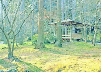 寺,日本庭園,和,冬,屋外,昭和レトロ