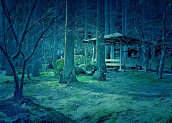 寺,日本庭園,和,冬,屋外,ホラー
