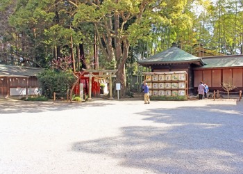 神社,日本庭園,和,冬,屋外