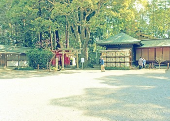 神社,日本庭園,和,冬,屋外,昭和レトロ