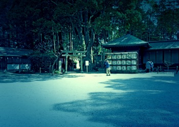 神社,日本庭園,和,冬,屋外,ホラー