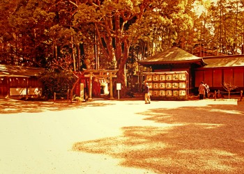 神社,日本庭園,和,冬,屋外,ヴィンテージ