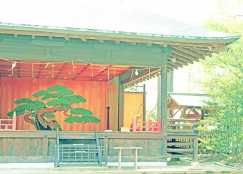 神社,日本庭園,和,冬,屋外,昭和レトロ