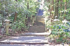 神社,日本庭園,屋外,晴れ,夏