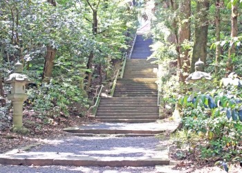 神社,日本庭園,屋外,晴れ,夏