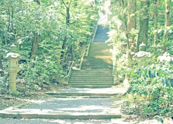 神社,日本庭園,屋外,晴れ,夏,昭和レトロ