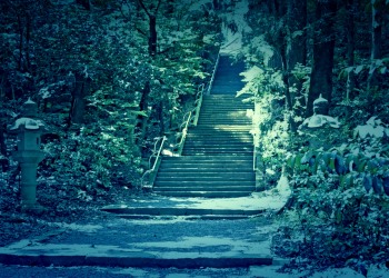 神社,日本庭園,屋外,晴れ,夏,ホラー