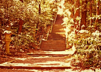 神社,日本庭園,屋外,晴れ,夏,ヴィンテージ