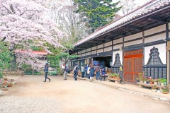 神社,日本庭園,屋外,晴れ,春