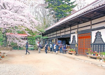 神社,日本庭園,屋外,晴れ,春