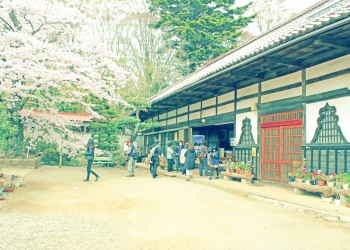 神社,日本庭園,屋外,晴れ,春,昭和レトロ